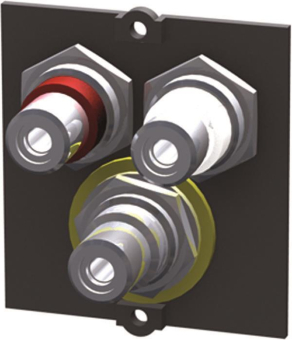 Bachmann Rahmen 1xVideo+Cinch    917.026 