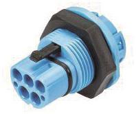 Wieland            RST20I5C S1 M01V BL07 