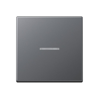 Jung JUNG HOME Taster      BTA17101BFANM 