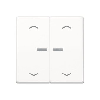 Jung JUNG HOME Taster 2fach  BTA17102PWW 