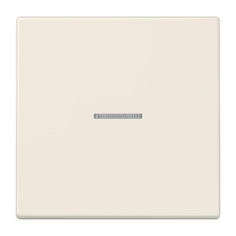 Jung JUNG HOME Taster 1fach    BTLS17101 