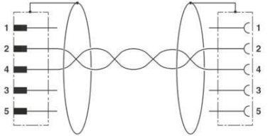 Phoenix    SAC-2P-M12MSB/ 5,0-910/M12FSB 