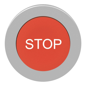 Schneider Frontelement          ZB4FL434 