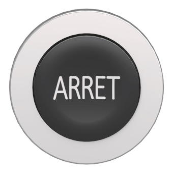 Schneider Frontelement          ZB4FL233 