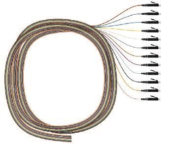 EasyLan 1x12 Pigtailsatz    LVCFP12LCOM3 