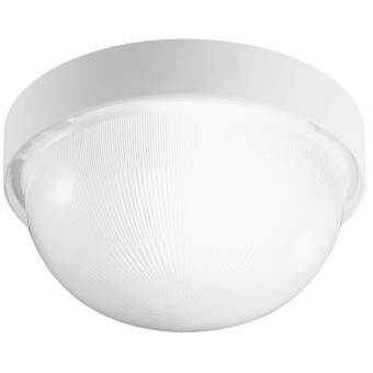 PII DROP 25 WEISS                 005010 