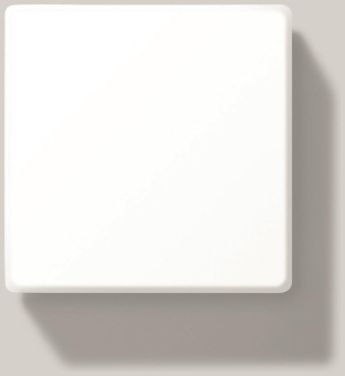 BEGA Decken-/Wandleuchte 3000K   12149K3 