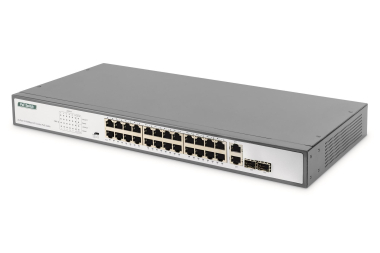 Assmann 24-Port Fast Ethernet   DN-95343 