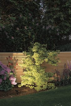 Paulmann Outdoor Plug & Shine Spot 93689 