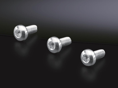 Rittal Linsenkopfschrauben    SZ 2489500 