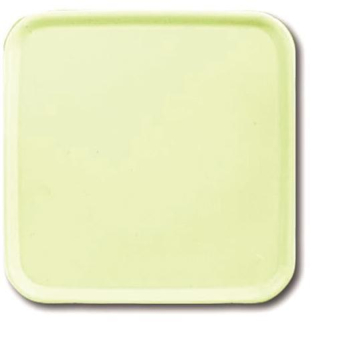 BJ SI Blind-Abd.            2548-212-50A 