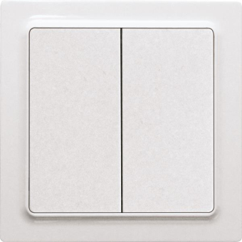 Eltako                        F2T55EH-wg 