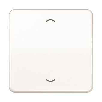 Jung Steuertaste Standard      CD1700PWW 