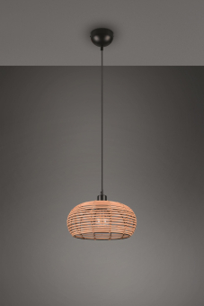 Trio Pendel Leuchte INGA 1xE27 312200136 