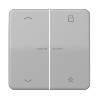 Jung eNet                FM CD 1701 P GR 