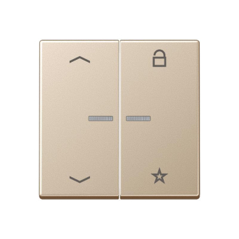 Jung eNet                 FM A 1701 P CH 