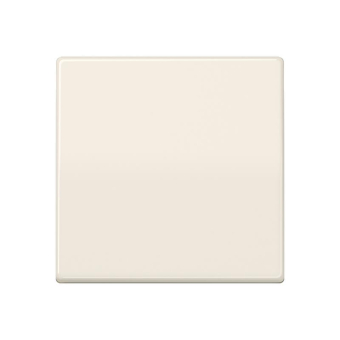 Jung Steuertaste Std.             AS1700 