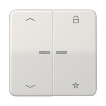 Jung eNet                FM CD 1701 P LG 