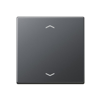 Jung Steuertaste Standard    A1700BFPANM 