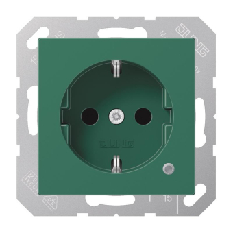 Jung SCHUKO-Steckdose        A1520BFKOGN 