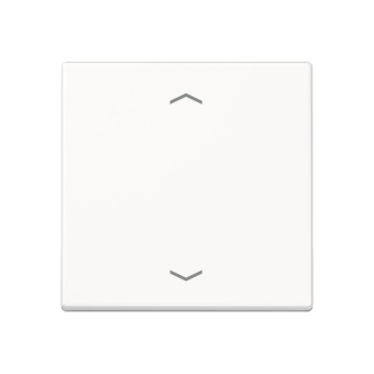 Jung Steuertaste Standard     A1700BFPWW 