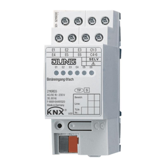 JG Binäreingang 6fach  2116REG 