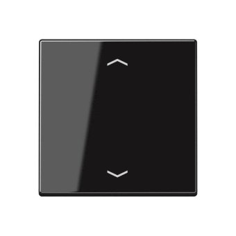 Jung Steuertaste Standard     A1700BFPSW 