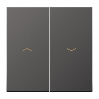 Jung Wippe m.Symbolen Auf/Ab    AL2995PD 