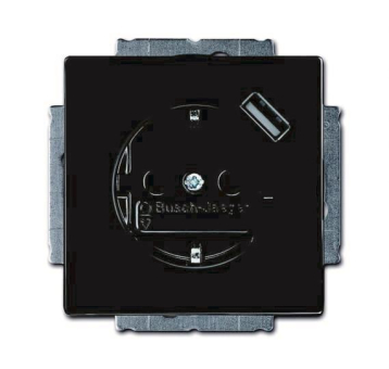BJ Schuko/USB Steckdose    20 EUCBUSB-81 