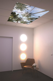 DOTLUX Motivplatte SKYLIGHT M04-01010620 