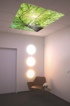 DOTLUX Motivplatte SKYLIGHT M01-01010620 