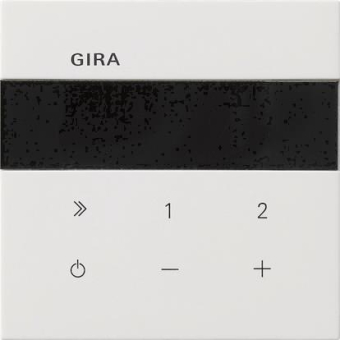 GIRA 2320112 UP-Radio IP Flächenschalter 