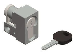 Schneider SF/SM Schloss      NSYIN1242E2 