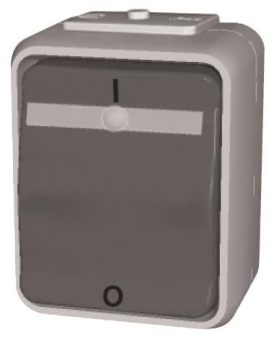 ELSO AP Kontroll Ausschalter   ELG441219 