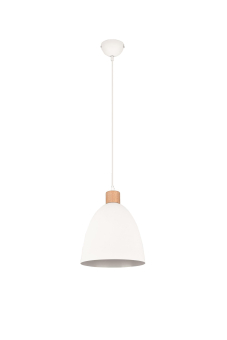 Trio Pendelleuchte JAGGER      R30681031 