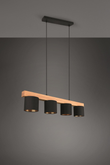 Trio Pendelleuchte CAMERON 4x  R30654002 