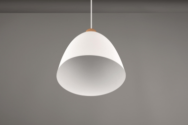 Trio Pendelleuchte JAGGER      R30681031 