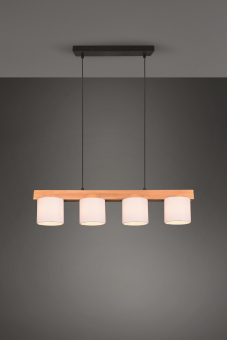 Trio Pendelleuchte CAMERON 4x  R30654001 