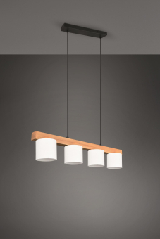 Trio Pendelleuchte CAMERON 4x  R30654001 