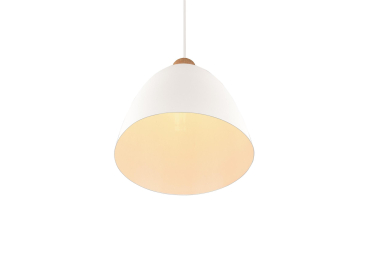 Trio Pendelleuchte JAGGER      R30681031 