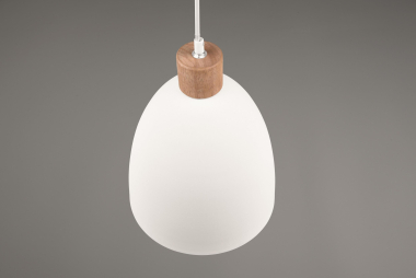 Trio Pendelleuchte JAGGER      R30681031 