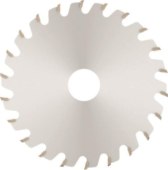 Bosch Scheibenfräser          3608641002 