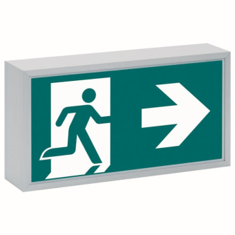 CEAG 71011 LED CG-S          40071351280 