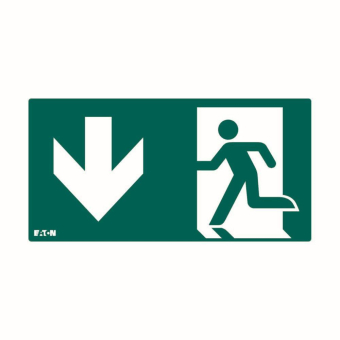 CEAG Einlegepiktogramm für   155-000-213 