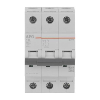 AEG LS-Schalter C 16A            EN63C16 