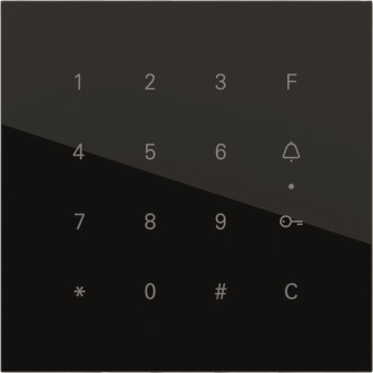 GIRA 5550000 System 106 Keyless 