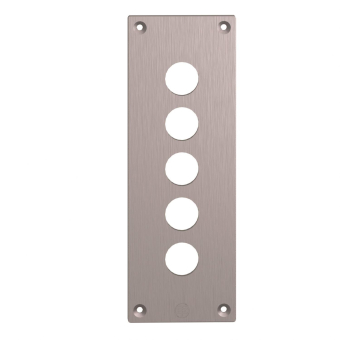 Schneider Einbauplatte 72x204mm  XAPE305 