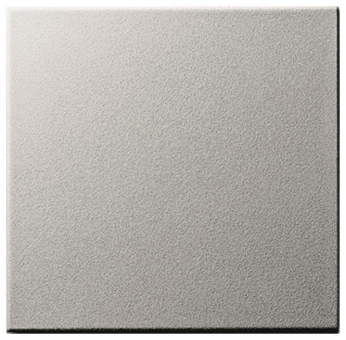 GIRA 091626 Wippe Tastschalter System 55 