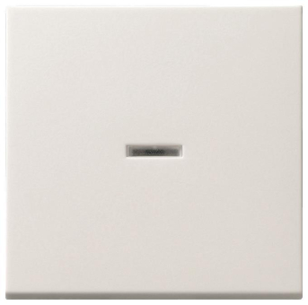 GIRA 091403 Wippe Tast-Kontroll 