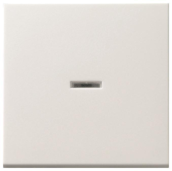 GIRA 091427 Wippe Tast-Kontroll 